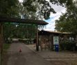 Post Zoologischer Garten Elegant Wildpark Johannismühle –