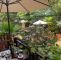 Prater Garten Berlin Luxus Garden Living Ab 83€ 1Ì¶0Ì¶3Ì¶€Ì¶ Bewertungen Fotos