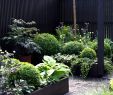 Ratgeber Garten Reizend Garten Und Landschaftsarchitekt — Temobardz Home Blog