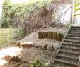 Rattanmöbel Garten Günstig Inspirierend Terrasse Blickdicht Machen — Temobardz Home Blog