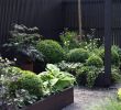 Raupen Im Garten Inspirierend Holzlagerung Im Garten — Temobardz Home Blog