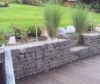 Real Garten Luxus Garten Sichtschutz Pflanzen — Temobardz Home Blog