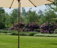 Regenmesser Garten Elegant Die 60 Besten Bilder Von Garten & Balkon