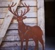 Rehe Im Garten Genial Pin Von Tina Horn Auf Deer Point Lodge