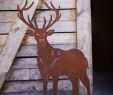 Rehe Im Garten Genial Pin Von Tina Horn Auf Deer Point Lodge