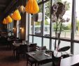 Restaurant Zoologischer Garten Genial Die 5 Besten Vietnamesischen Restaurants In Magdeburg