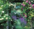 Romantischer Garten Elegant 48 Gardening 1
