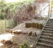 Sauna Für Den Garten Luxus Hohe Pflanzen Als Sichtschutz — Temobardz Home Blog