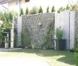 Sauna Für Den Garten Reizend Hohe Pflanzen Als Sichtschutz — Temobardz Home Blog