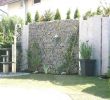 Sauna Für Garten Reizend Hohe Pflanzen Als Sichtschutz — Temobardz Home Blog