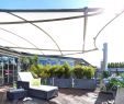 Schallschutz Garten Selber Bauen Einzigartig Terrasse Pflanzen Sichtschutz — Temobardz Home Blog