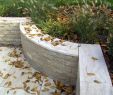 Schallschutz Garten Selber Bauen Elegant Sichtschutz Terrasse Pflanzen — Temobardz Home Blog