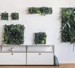 Schallschutz Garten Selber Bauen Frisch Lassen Sie Sich Inspirieren Mit Stylegreen Pflanzenbildern