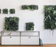 Schallschutz Garten Selber Bauen Frisch Lassen Sie Sich Inspirieren Mit Stylegreen Pflanzenbildern