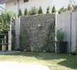 Schaukel Für Den Garten Elegant Pflanzen Als Sichtschutz Im Kübel — Temobardz Home Blog