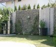 Schaukel Für Den Garten Elegant Pflanzen Als Sichtschutz Im Kübel — Temobardz Home Blog