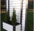 Schaukel Für Den Garten Neu Pflanzen Als Sichtschutz Im Kübel — Temobardz Home Blog