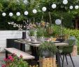 Schaukelbank Garten Das Beste Von Die 60 Besten Bilder Zu sommer Im Garten