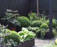 Schiebetür Garten Das Beste Von Billy Türen Alternative — Temobardz Home Blog