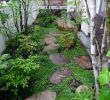 Schmaler Garten Das Beste Von 29 Diy Gartenideen Mit Steinen
