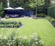 Schmaler Garten Das Beste Von Grillecke Im Garten Anlegen — Temobardz Home Blog