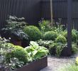 Schmaler Garten Inspirierend Kleinen Vorgarten Gestalten — Temobardz Home Blog
