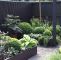Schöner Sichtschutz Für Den Garten Luxus Pflanzen Als Sichtschutz Im Kübel — Temobardz Home Blog