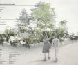 Schwarzer Garten Inspirierend 2 Preis Pixelgarten © Dnd Landschaftsplanung