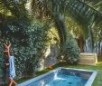 Schwimmbad Im Garten Luxus 28 Erfrischende Tauchbecken Geradezu Verträumt Sind