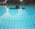 Schwimmpool Für Garten Frisch Hashtag Roemerbad Na Twitteru