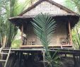 Schwimmteich Garten Elegant Ganesha Kampot Eco Guesthouse and More Bewertungen Fotos