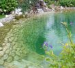 Schwimmteich Garten Genial Die 54 Besten Bilder Von Schwimmteich