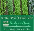 Selbstversorger Garten Anlegen Genial Gemüsebau 10 Tipps Für Anfänger Gemüsegarten Anfänger