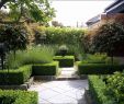 Selbstversorger Garten Anlegen Inspirierend Mini Herb Garden Awesome Garten Deko Ideen Zum Selber Machen