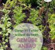 Selbstversorger Garten Das Beste Von Gemüse Richtig Anbauen