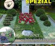 Shop Mein Schoener Garten De Heft Angebote Das Beste Von Mein Schöner Garten Spezial Nr 148 13