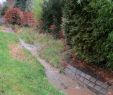 Sichtschutz Für Den Garten Elegant Es Regnet