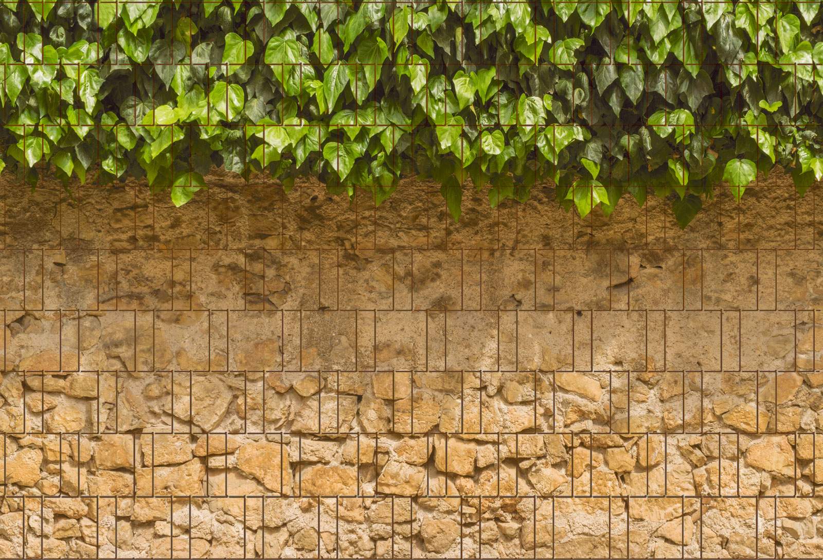 Efeu und Mauer Bedruckter Zaun Sichtschutz Streifen