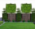 Sichtschutzwand Garten Inspirierend Hohe Pflanzen Als Sichtschutz — Temobardz Home Blog