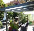 Sichtschutzwand Garten Inspirierend Sichtschutz Terrasse Pflanzen — Temobardz Home Blog