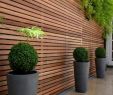 Sitzecke Garten Holz Genial Aus Eins Holz Lamellenwand Luftiger Sichtschutz Und