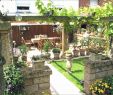 Sitzecken Im Garten Mit überdachung Frisch Ideen Für Grillplatz Im Garten — Temobardz Home Blog