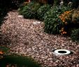 Solar Kugelleuchte Garten Luxus Led Lampen Für Garten Einzigartig Kugellampe Garten Schön