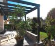 Sommer Garten Genial Terrassen Ideen Bilder — Temobardz Home Blog