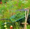 Spaten Garten Inspirierend Pfle Ipps Für Ihre Gartengeräte