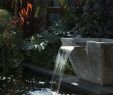Springbrunnen Garten Selber Bauen Elegant â· 1001 Ideen Und Gartenteich Bilder Für Ihren Traumgarten