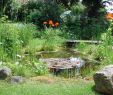Springbrunnen Garten Selber Bauen Genial Teich –