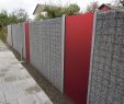 Steinmauer Garten Sichtschutz Gartendekorationen Einzigartig Sichtschutz Aus Plexiglas Komibniert Mit Der Gabione Classic
