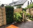 Steinmauer Garten Sichtschutz Gartendekorationen Einzigartig Sichtschutz Für Den Garten Aus Bambus Kombiniert Mit