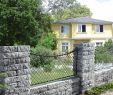 Steinmauer Garten Sichtschutz Gartendekorationen Frisch Häusler "granit" Zaunstein Nicht Nur Granit